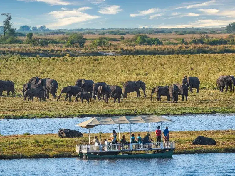 Best of Three Rivers: Luxury Zimbabwe & Botswana Tour